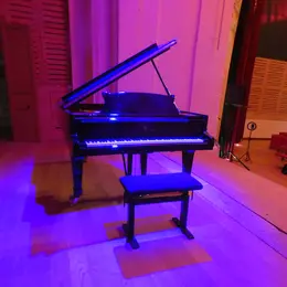 5ème édition Festival Amitiés Musicales Internationales