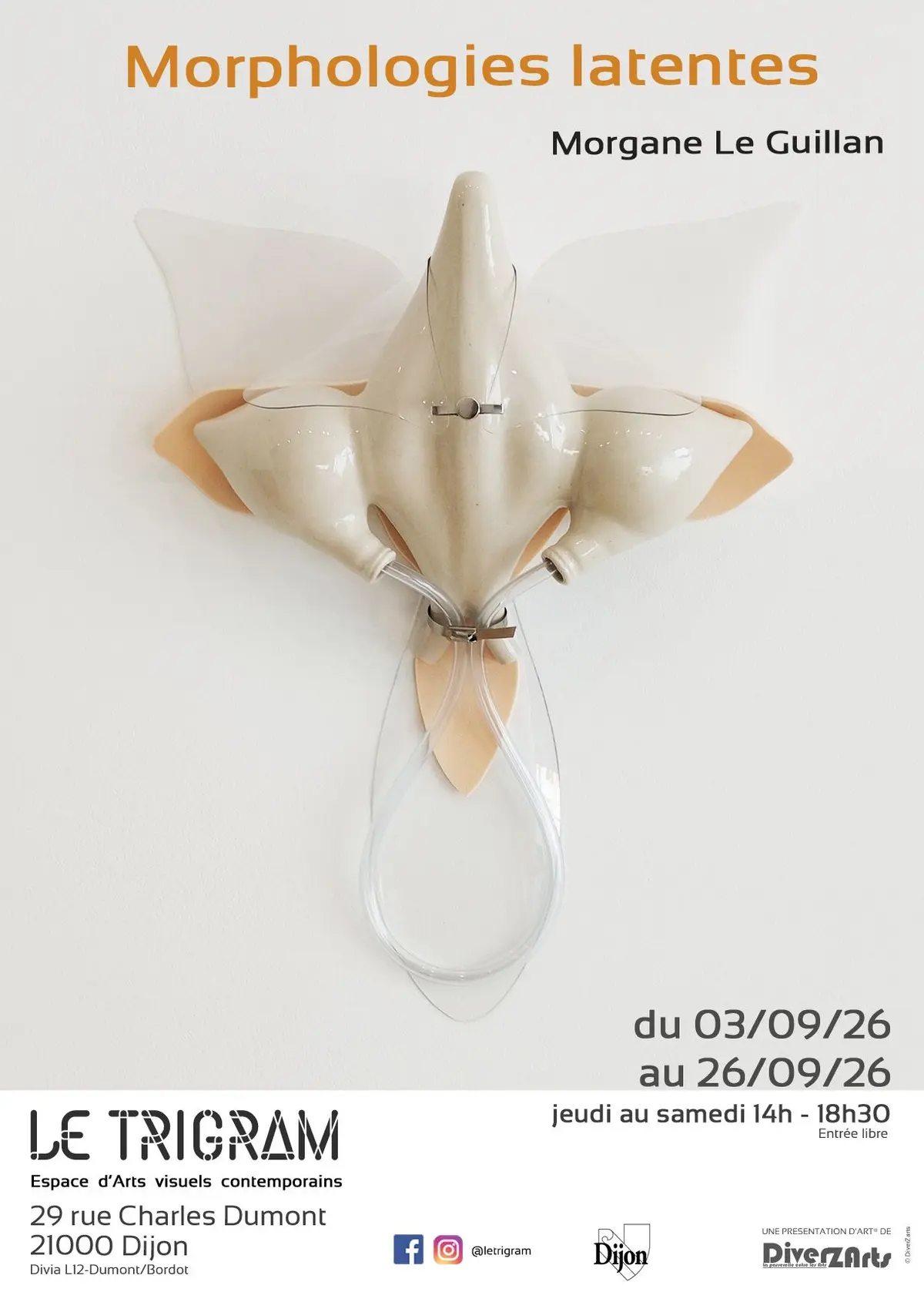 Morphologies latentes