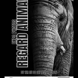 Regard Animal