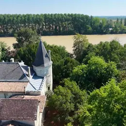 Saint Emilion visite dégustation vignoble familial bio