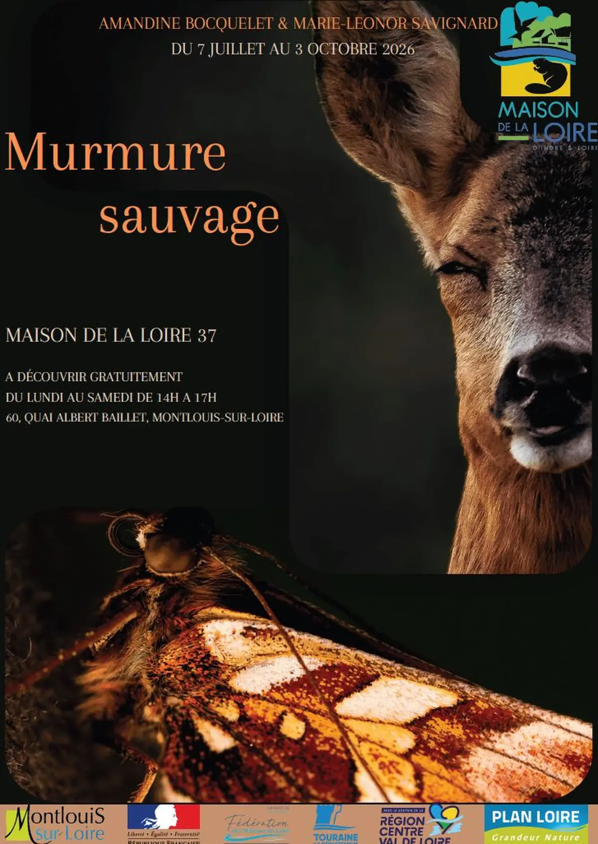Murmure sauvage