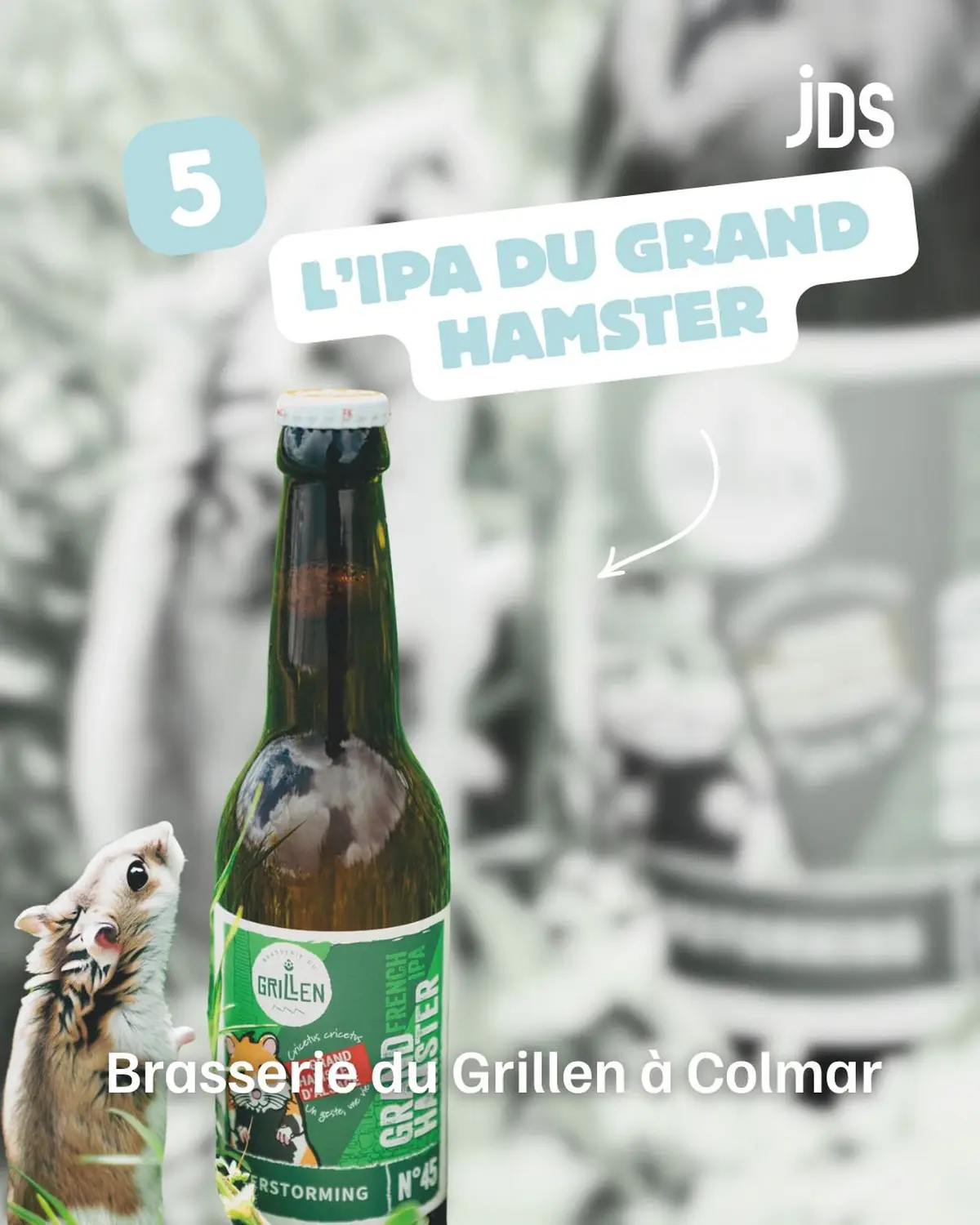 5 bières locales et artisanales pour une dégustation estivale (mais modérée !)