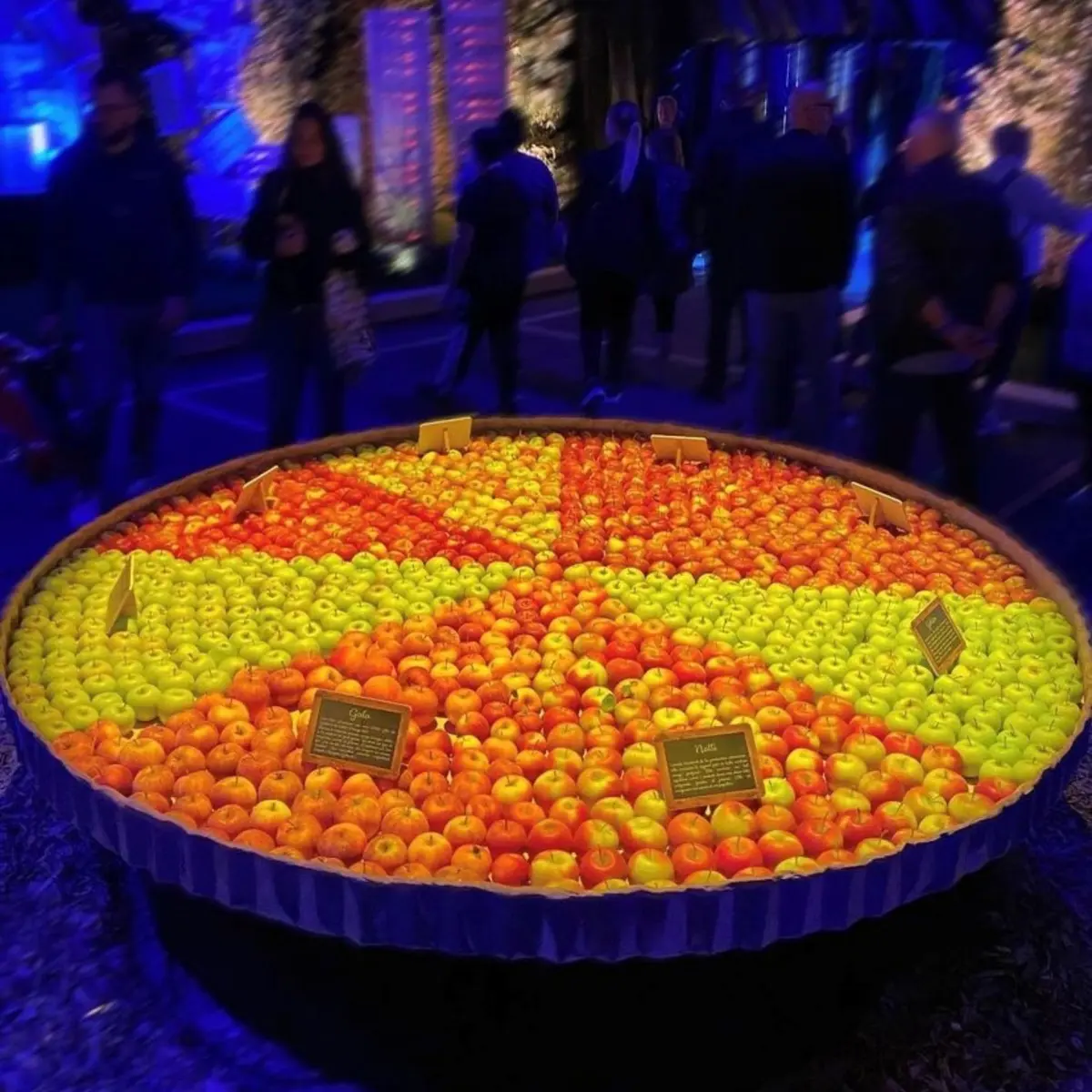 Les pommes n'auront plus de secrets pour vous après votre passage à Folie'Flore !