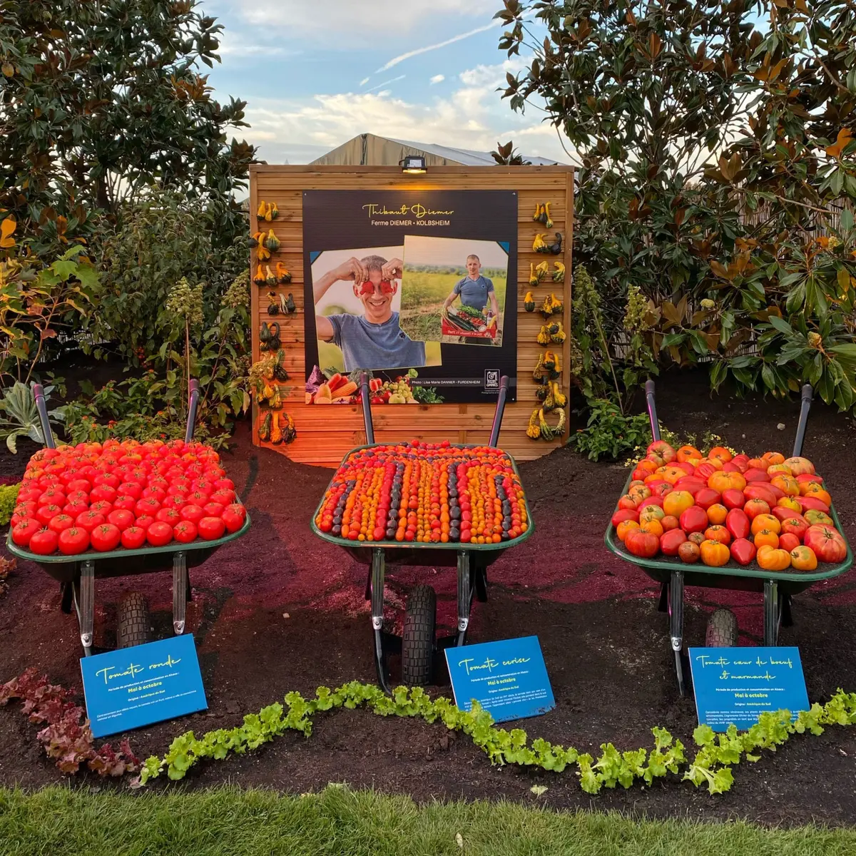 5 bonnes raisons de se rendre à Folie'Flore