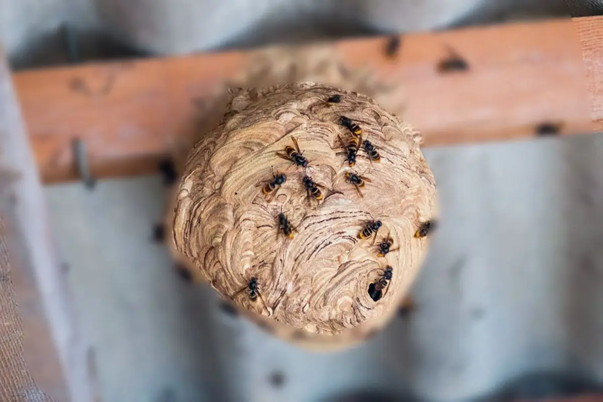 Tu trouves ça drôle ? 5 cachettes où planquer les œufs de Pâques pour amuser vos enfants