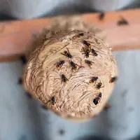 Tu trouves ça drôle ? 5 cachettes où planquer les œufs de Pâques pour amuser vos enfants DR