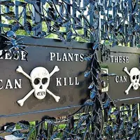 Tu trouves ça drôle ? 5 cachettes où planquer les œufs de Pâques pour amuser vos enfants DR