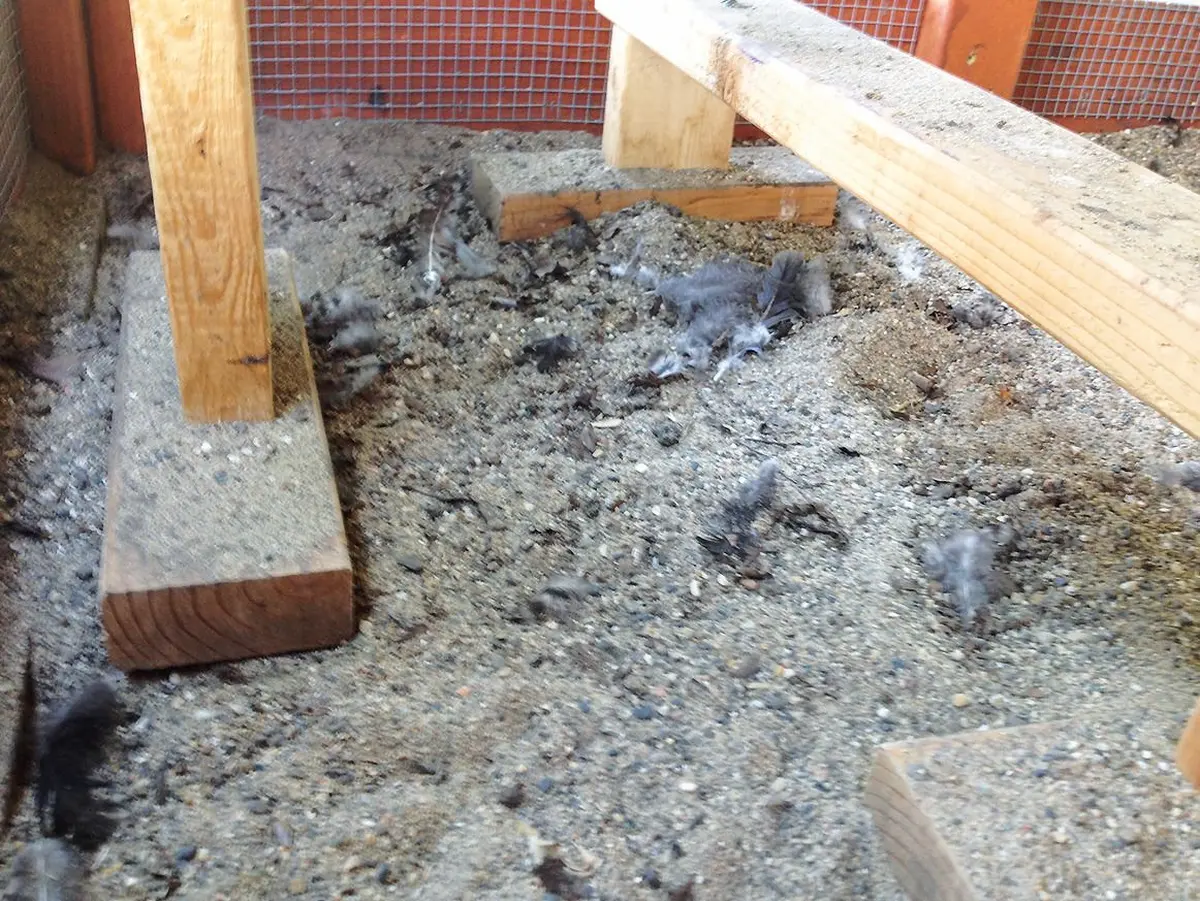 Tu trouves ça drôle ? 5 cachettes où planquer les œufs de Pâques pour amuser vos enfants