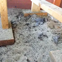 Tu trouves ça drôle ? 5 cachettes où planquer les œufs de Pâques pour amuser vos enfants DR