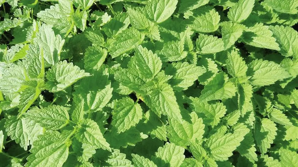 Tu trouves ça drôle ? 5 cachettes où planquer les œufs de Pâques pour amuser vos enfants