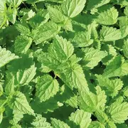 Tu trouves ça drôle ? 5 cachettes où planquer les œufs de Pâques pour amuser vos enfants