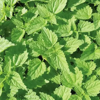 Tu trouves ça drôle ? 5 cachettes où planquer les œufs