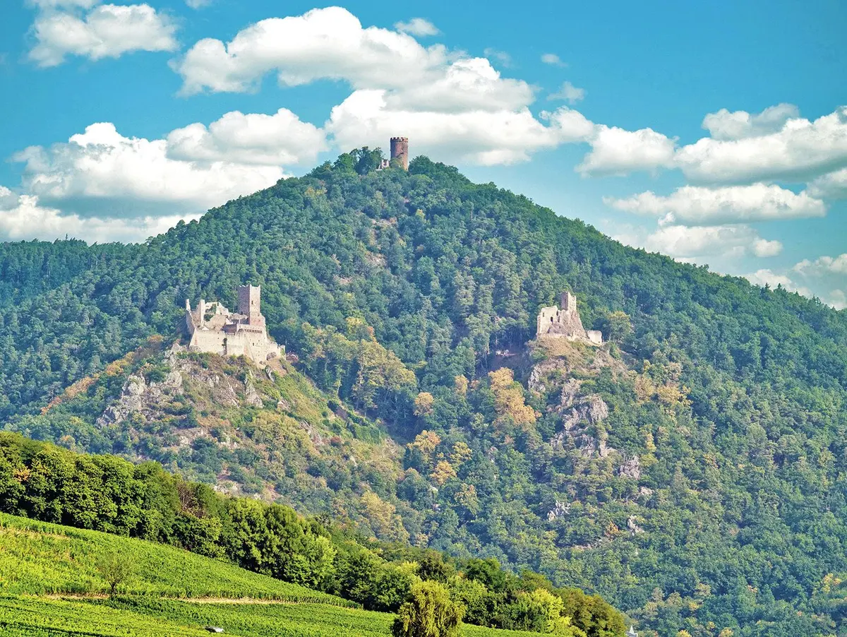 Le Haut-Ribeaupierre à Ribeauvillé 