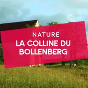 5 choses à savoir sur la  colline du Bollenberg