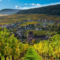 Le vignoble de Soultzmatt &copy; Adobe Stock