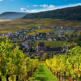 5 endroits où l'on se croirait en vacances autour de Mulhouse