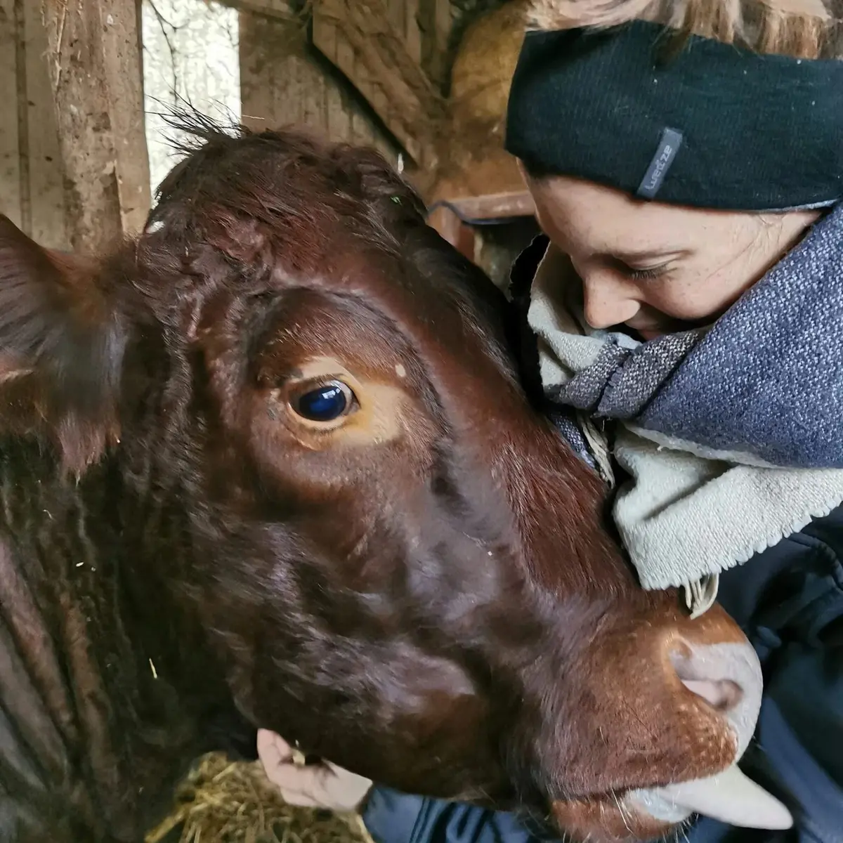 Les Copains de la Ferme