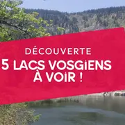 5 lacs vosgiens à ne pas manquer !