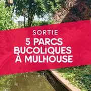 5 parcs bucoliques à redécouvrir à Mulhouse