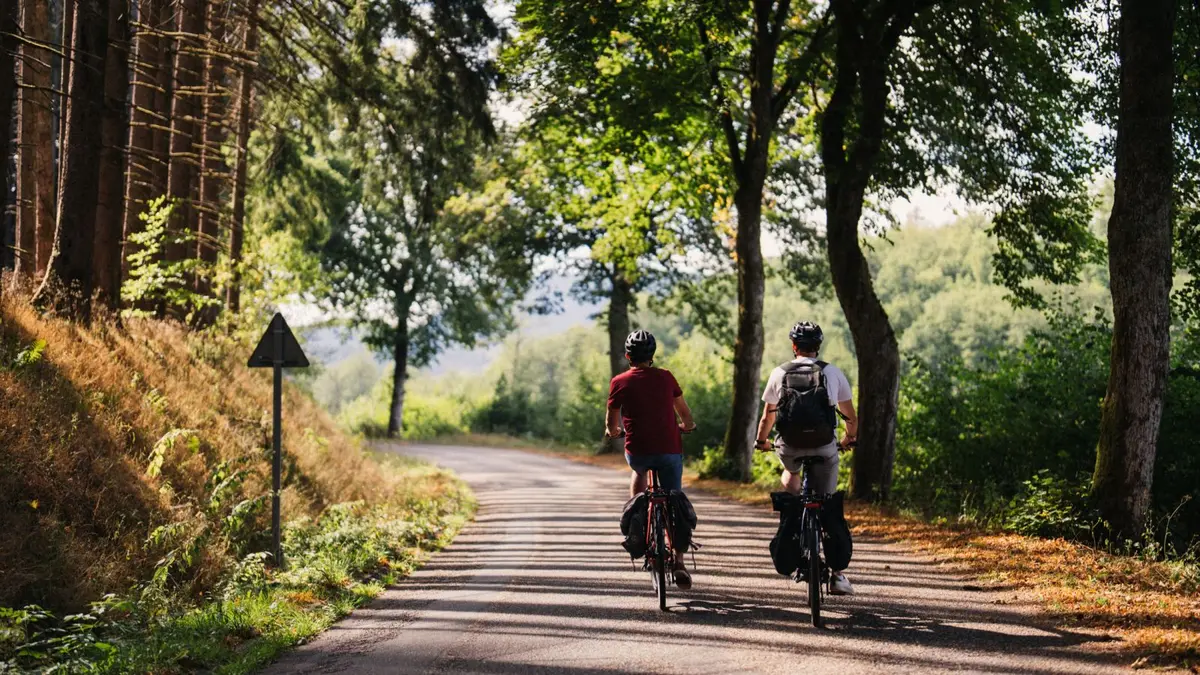 5 pistes cyclables pour découvrir Colmar et ses environs à vélo