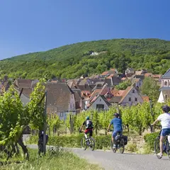 5 pistes cyclables pour découvrir Colmar et ses environs à vélo