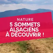 5 sommets alsaciens à découvrir !