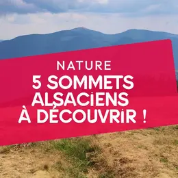 5 sommets alsaciens à découvrir !