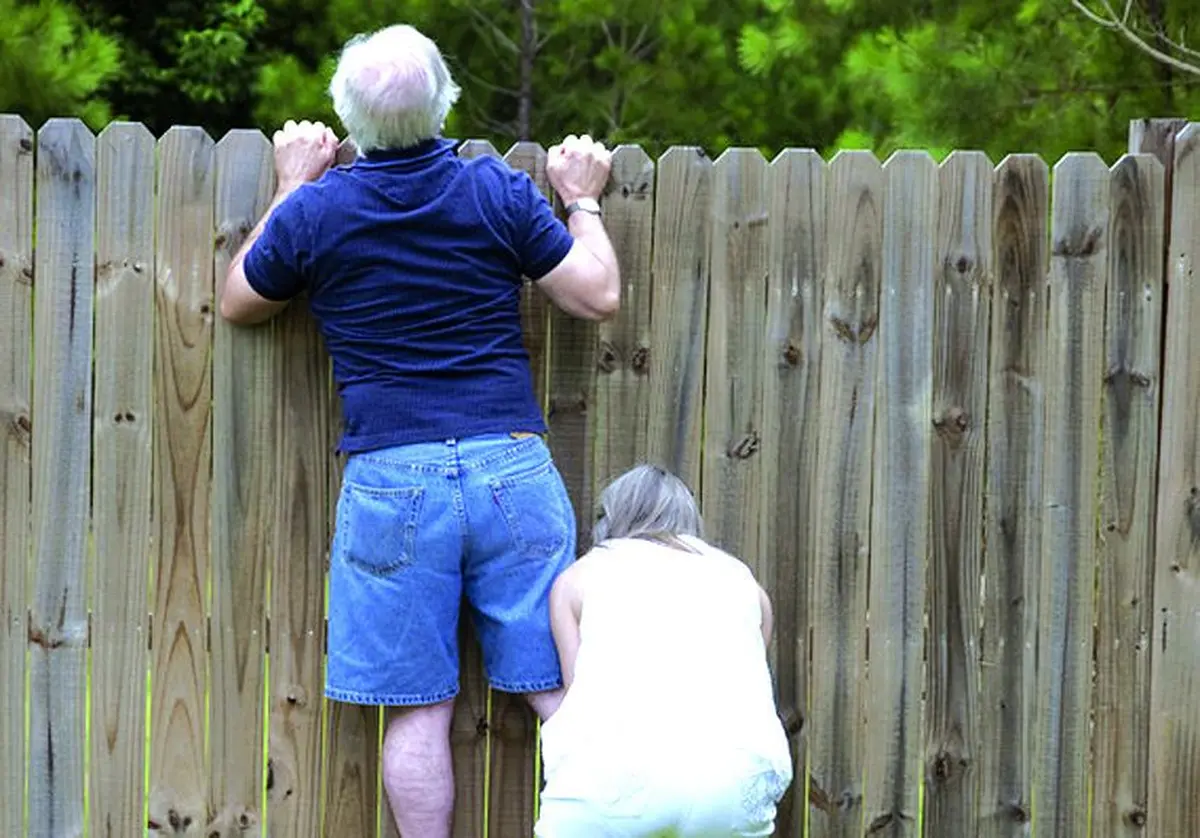 Les joies d'épier le voisin