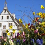 5 villes de conte de fées à visiter en Alsace
