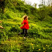 50 ans, présente !  Compagnie MastoCK