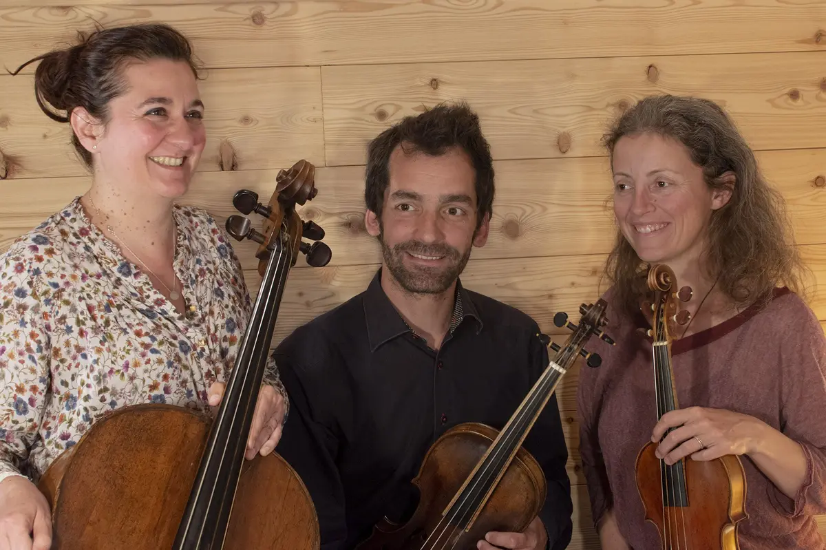 L'art du trio &agrave; cordes