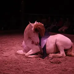 Cabaret Equestre Eq'Art