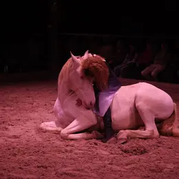 Cabaret Equestre Eq'Art