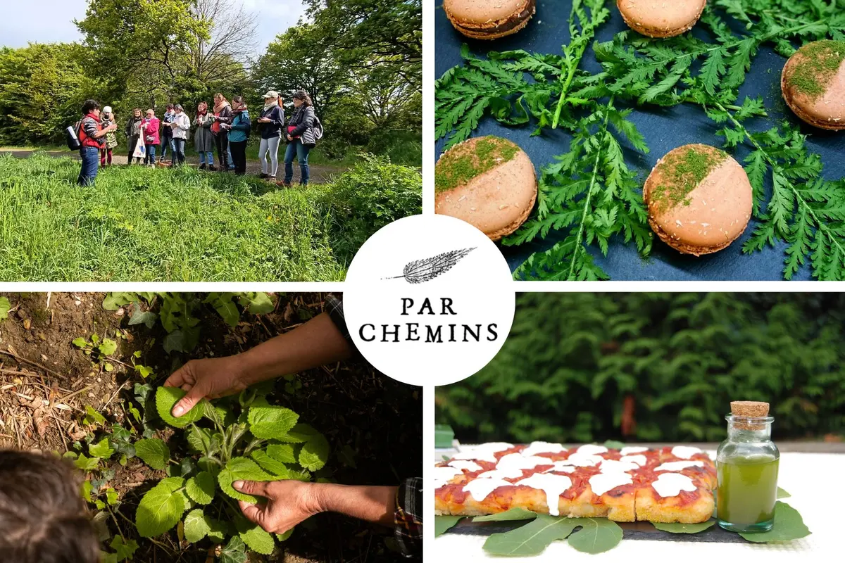 Atelier de cuisine : Bouchées apéritives aux plantes sauvages (La Rochelle)