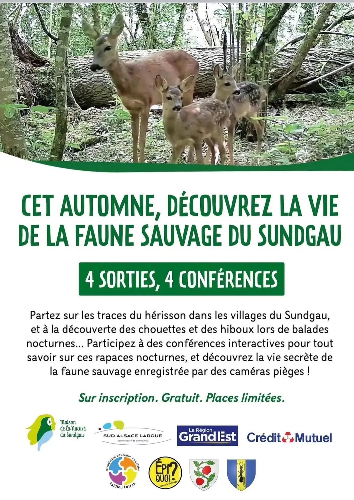 Projection-conférence : la vie sauvage autour de Bernwiller-Ammertzwiller. 