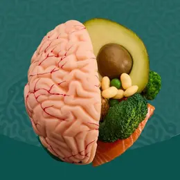 Conférence - Mémoire et alimentation
