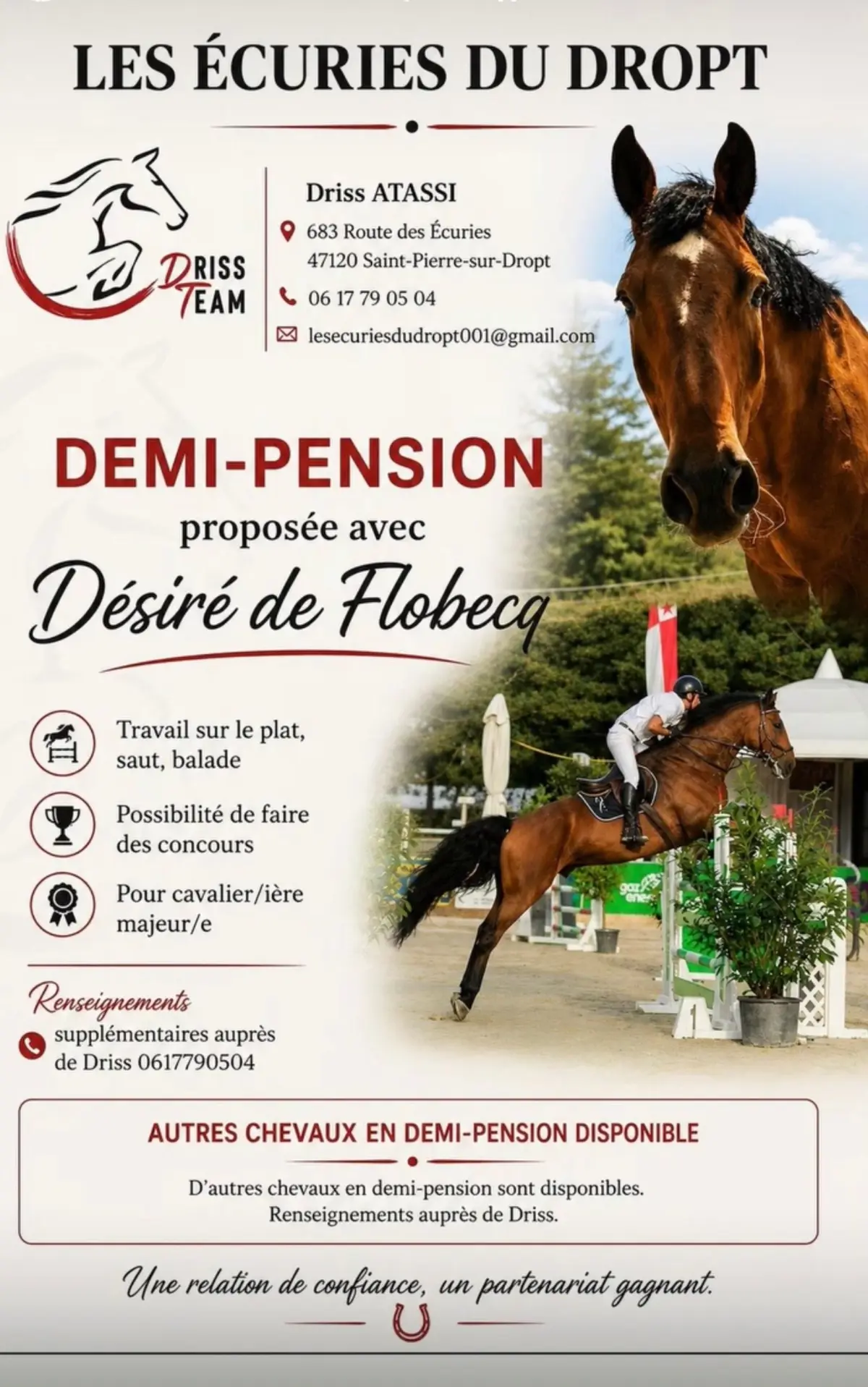 Cheval en demi-pension