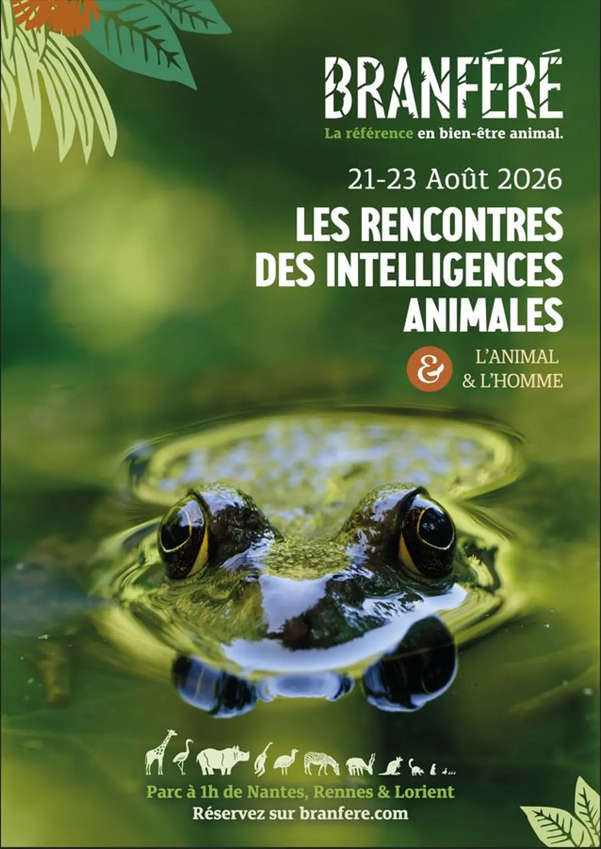 Les rencontres des intelligences animales 