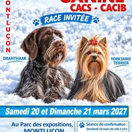 Exposition Canine Internationale