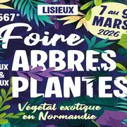 567e Foire aux Arbres et aux Plantes – Végétal exotique en Normandie