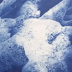 Brigit Ber - Cyanotype