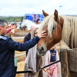Fête du cheval à l'hippodrome Paris-Vincennes