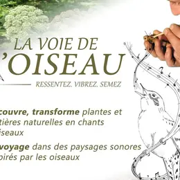 La voie de l'Oiseau