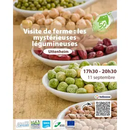 Visite de ferme : les mystérieuses légumineuses