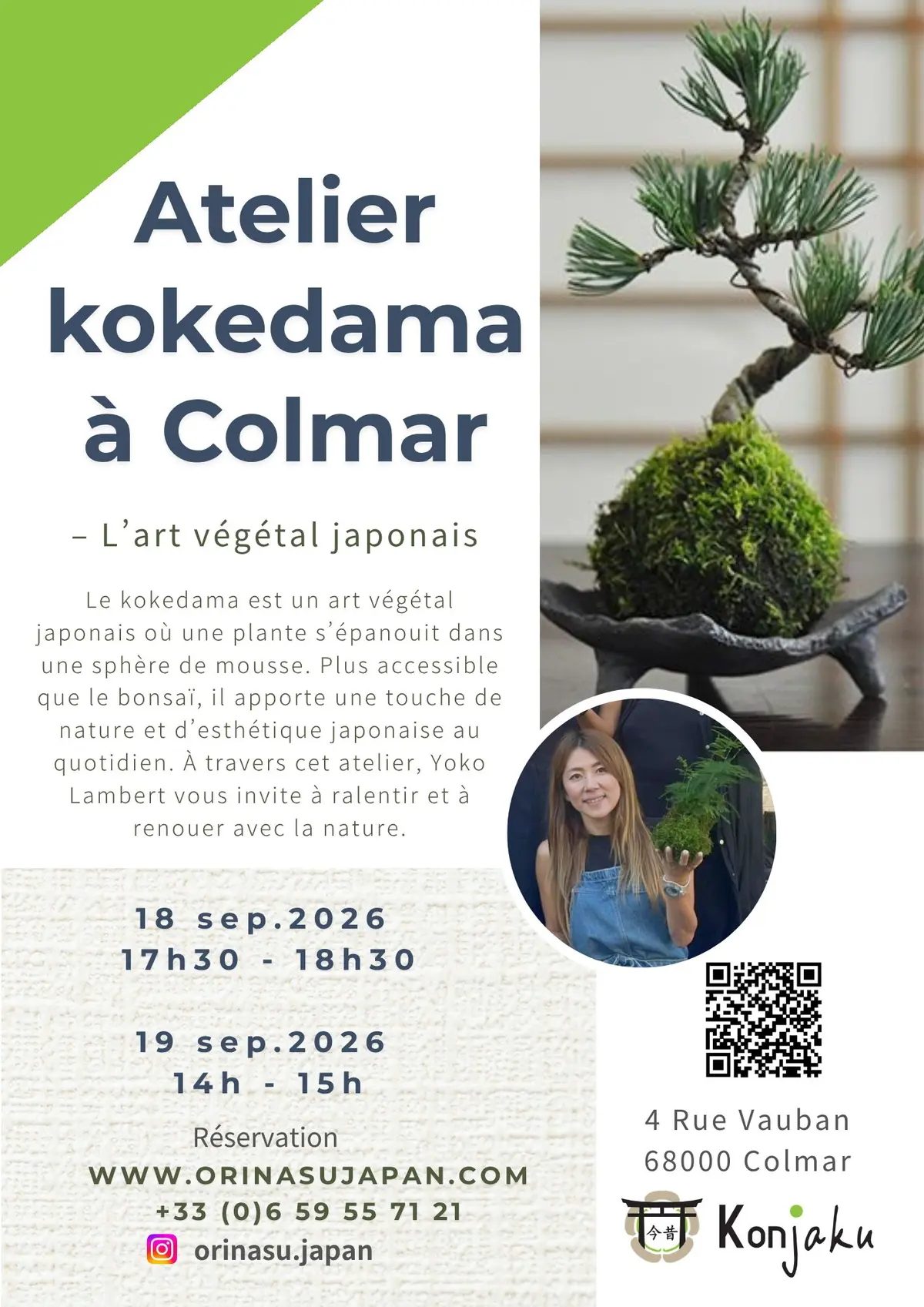 Ateliers de culture japonaise à Colmar - Kokedama : Art végétal japonais