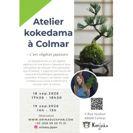 Ateliers de culture japonaise à Colmar - Kokedama : Art végétal japonais