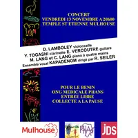 Concert pour le Bénin &copy; Vincent Stoffel