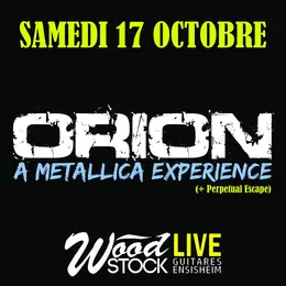 Beck is Back vs François Rota + Still Crazy chez Wood Stock Guitares Ensisheim