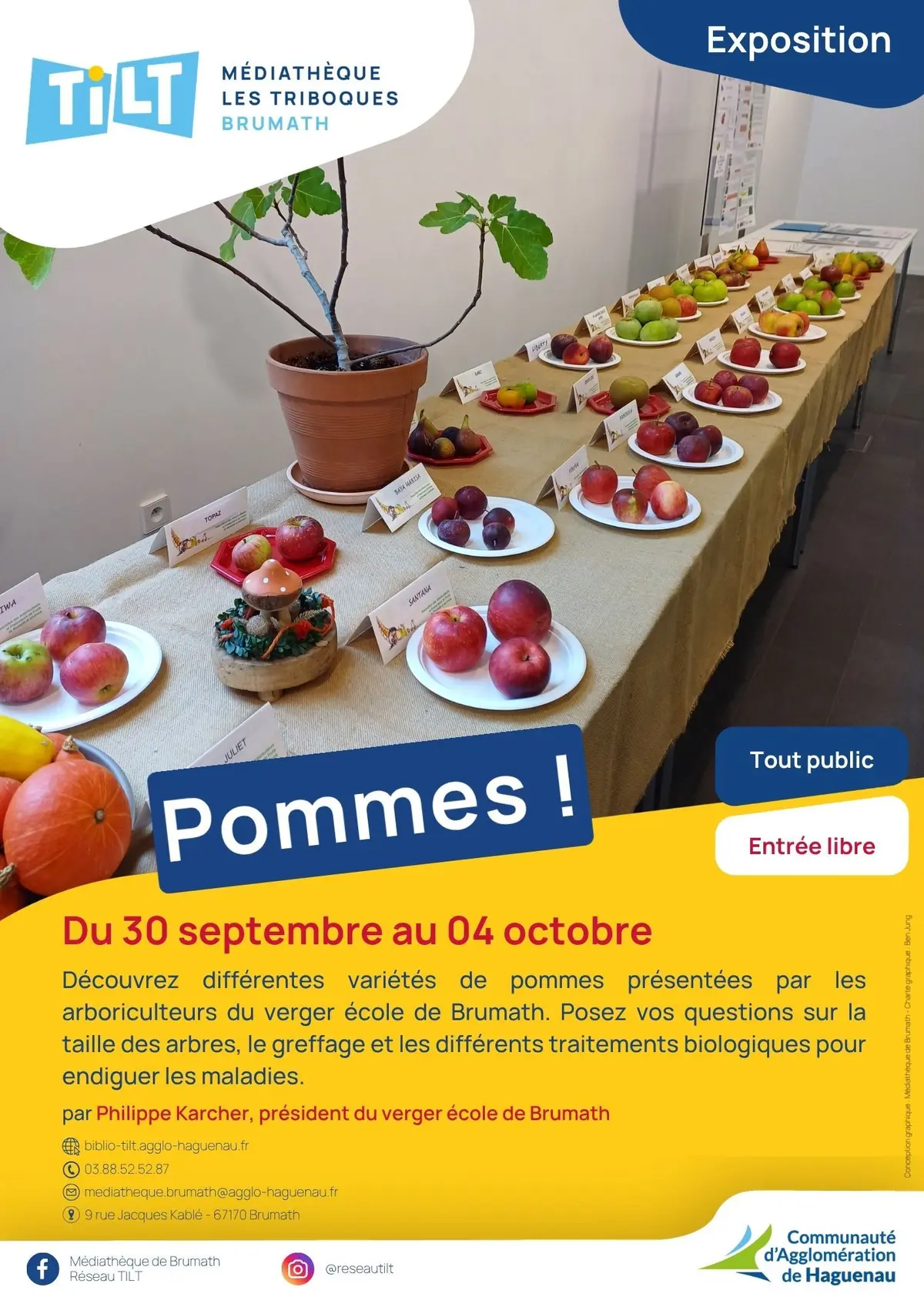 Pommes !