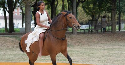 Fronti&egrave;res : Spectacle &eacute;questre et pictural
